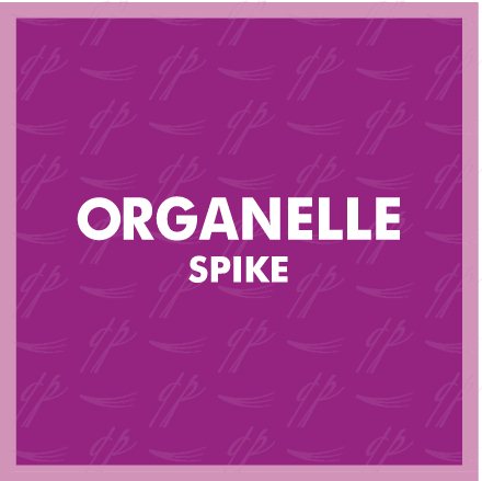 Organelle ABSOLUTE